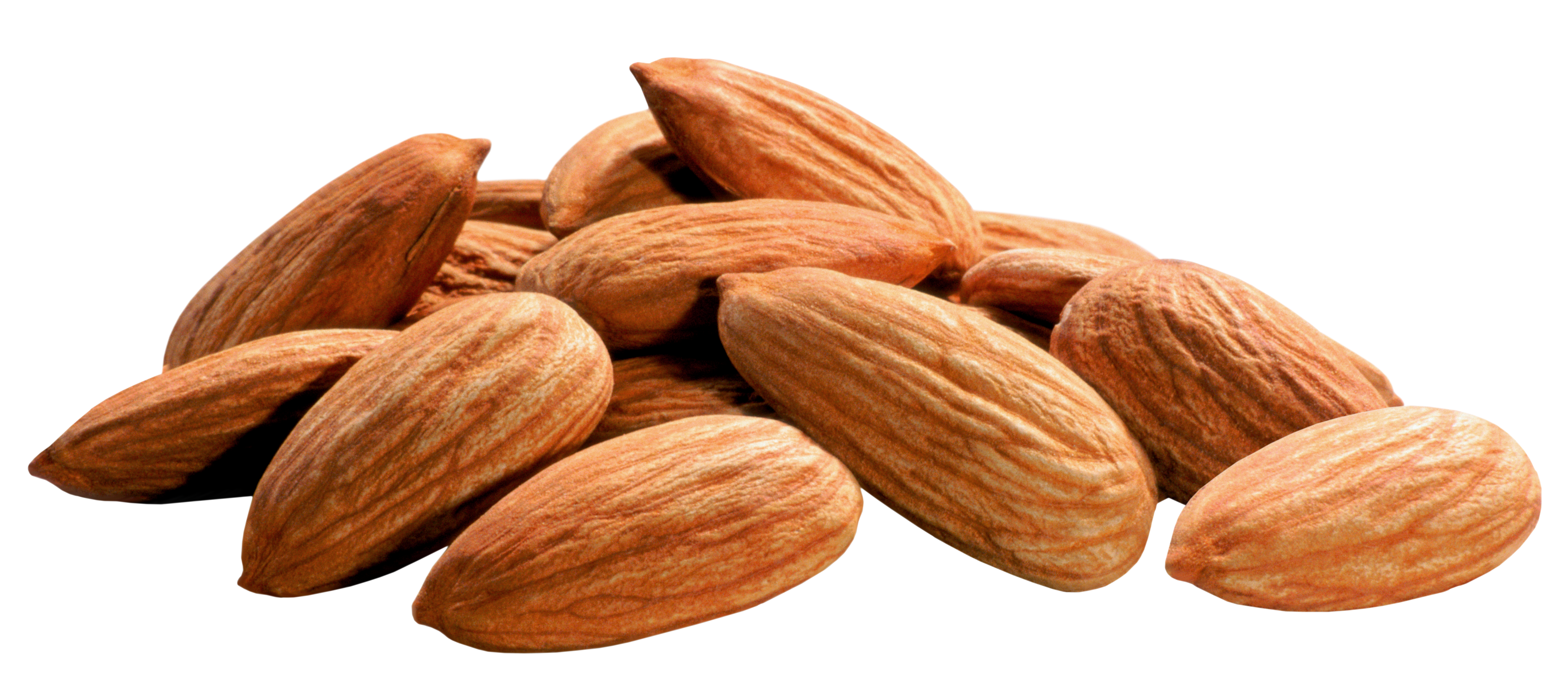 TheseNuts
